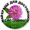 Сидераты семена